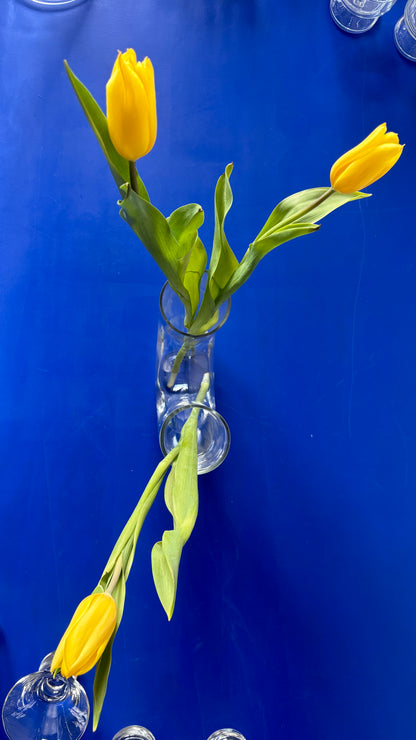 U-Shaped VASE
