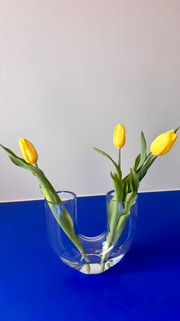 U-Shaped VASE