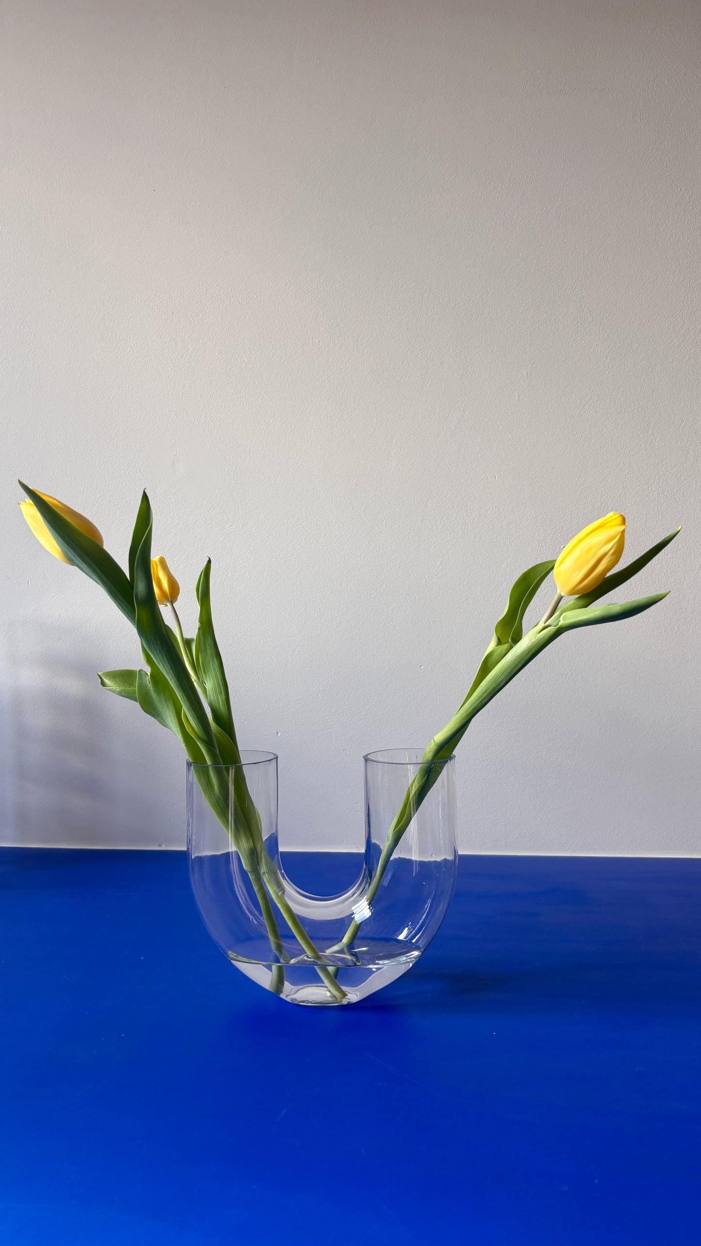 U-Shaped VASE